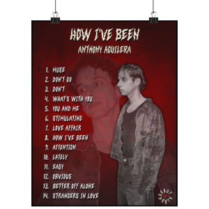 HOW I'VE BEEN ALBUM POSTER